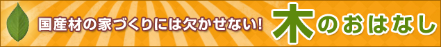 木の家