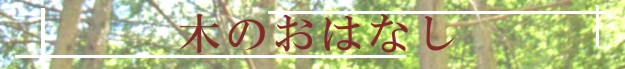 木の家