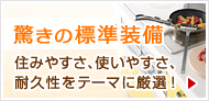 標準装備