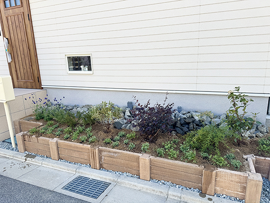 モデルハウス compact+ 木の家 新築