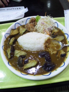 あげなすカレー